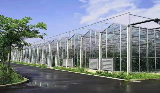Nanotechnology - Enabling Efficient Agricultural Production