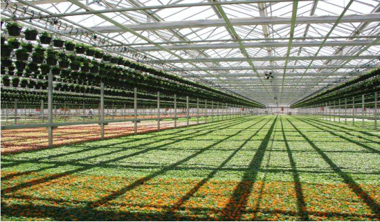 Nanotechnology - Enabling Efficient Agricultural Production
